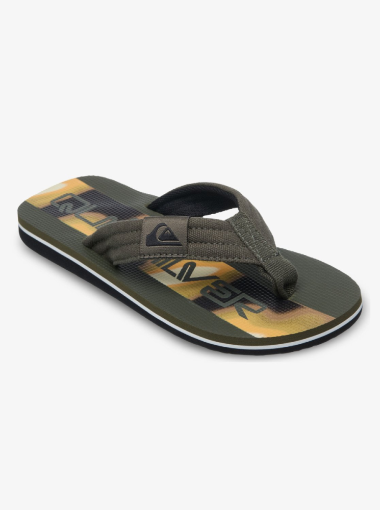 Quiksilver Molokai Layback 26 Youth, Grape Leaf Holmes, 5(37)