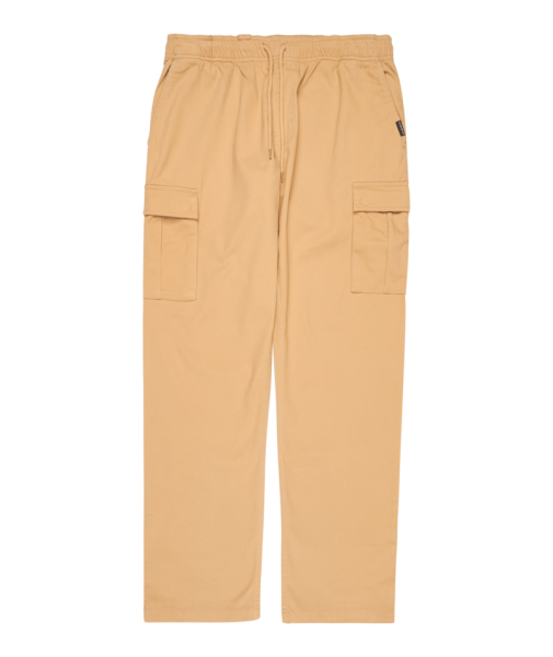 Quiksilver Taxer Regular Cargo Pant, Khaki