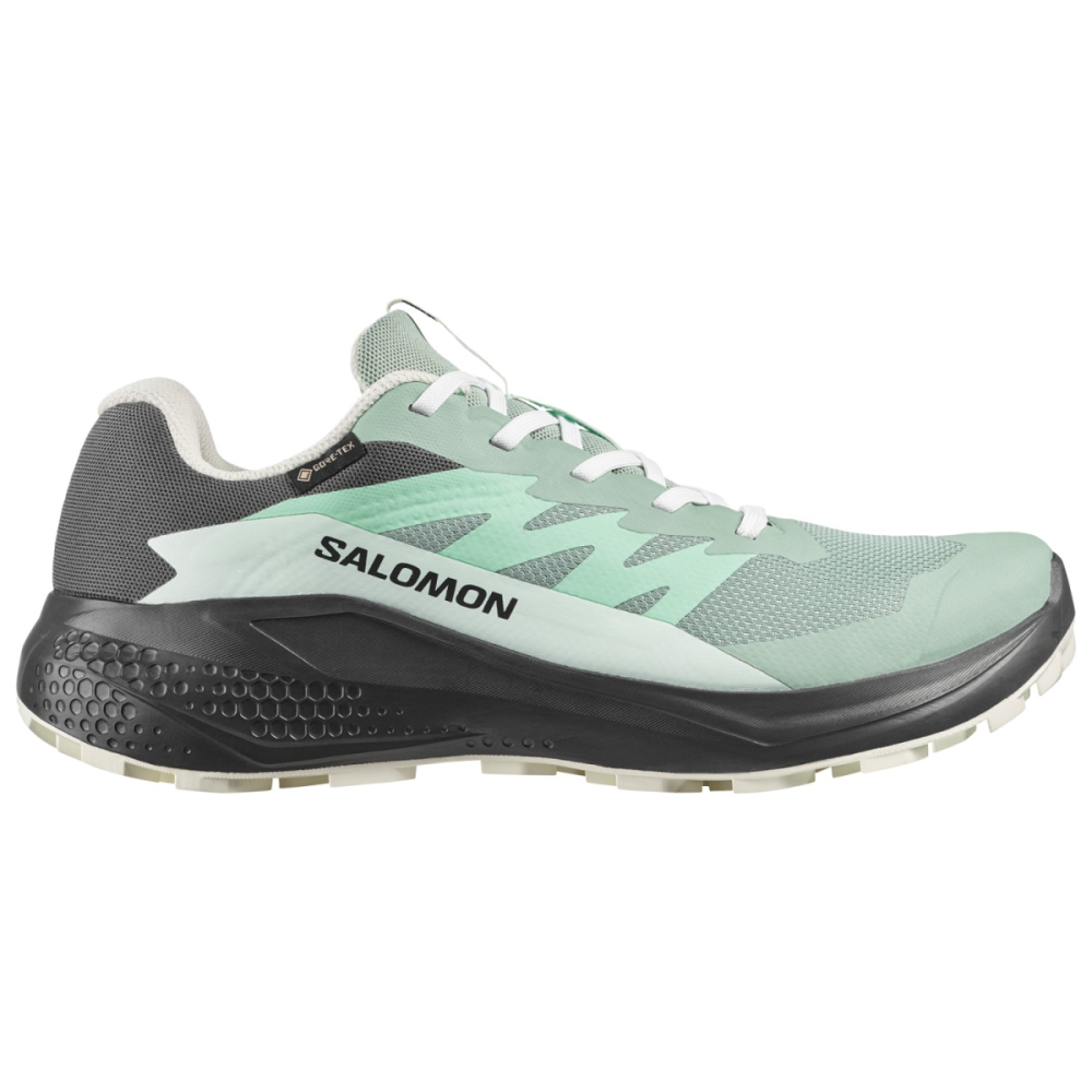 Salomon SHOES ALPHAGLIDE GTX W Greenm/Asphal/Cla, 38 2/3