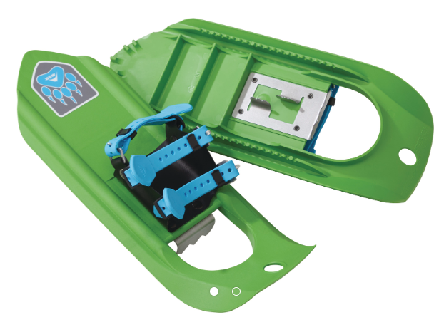 MSR Tyker Dino, green rental