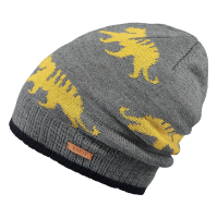 Barts Thorn Beanie, dark heather