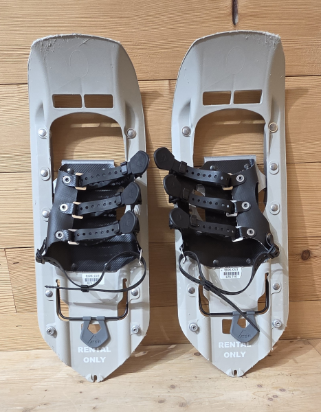 MSR Rental EVO Trail