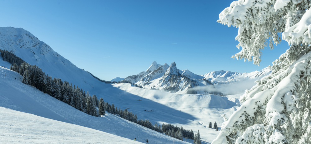 Geschenk Gutschein Winter